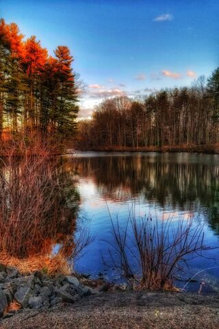 Golden Reflections: A S..