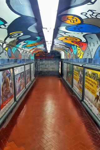 Colorful Passageways of Buenos Aires 🎨🚇