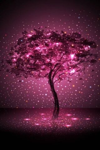 Vfunc: A Cosmic Blossom..