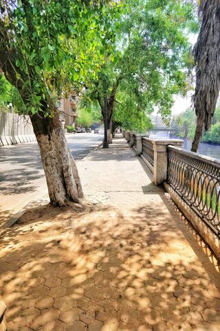 Serenity by the Nile 🌿🌊