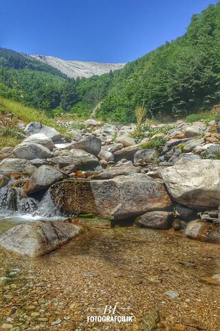 Serenity at Doga Dere Su: Nature's Hidden Gem 🌊🌲