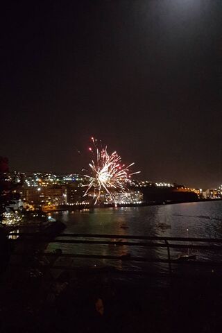 Sparkling Skies: A Night of Celebration 🎆
