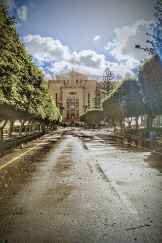 Engineering Street: A Pathway to Innovation 🌳🏛️