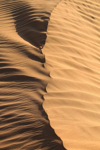 Waves of Gold: Nature's..