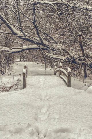 Winter Wonderland Pathway ❄️🌲