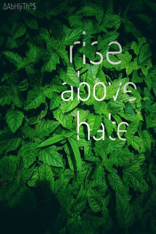 The Rise Above Hate