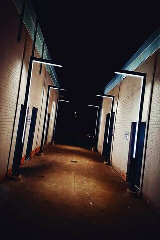 Illuminated Pathways: A Nighttime Journey