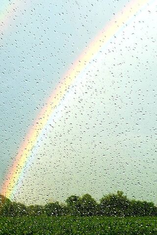Vivid Rainbow