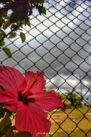 Guam's Tropical Beauty 🌺