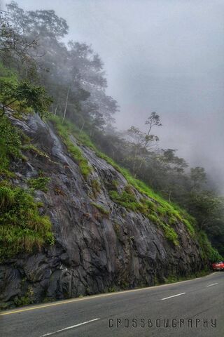 Kerala Wayanad