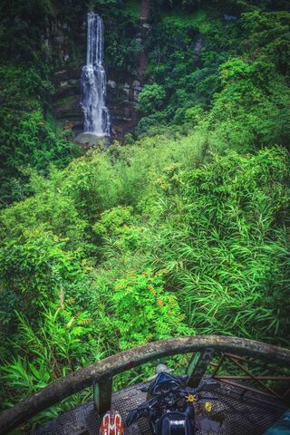 Journey to the Hidden Falls 🌿💧