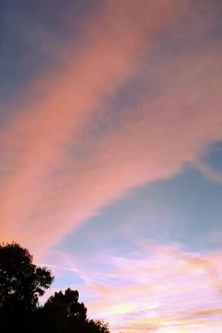 Serene Skies: A Norfolk Evening 🌅