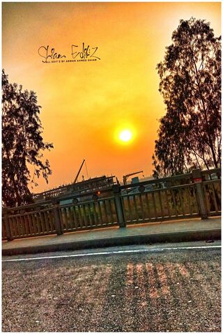 Love You Sun
