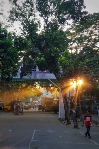 Sunny Serenity: A Glimpse of Golden Hour 🌅