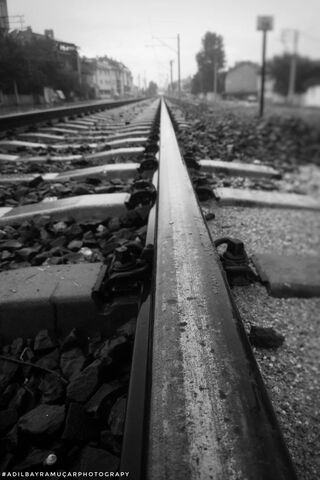 Journey on the Tracks 🚂✨