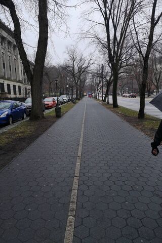 Chilly Stroll Through Winter's Embrace ❄️🚶