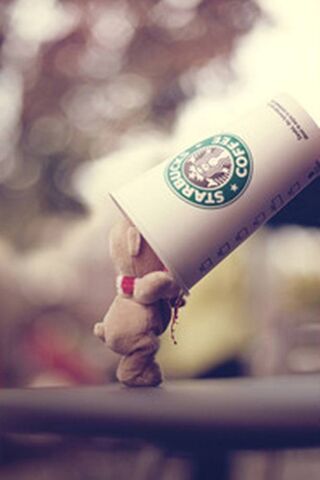 Cute Teddy