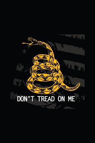 Liberty's Warning: The ..