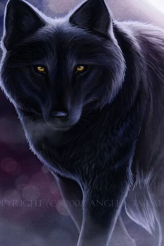 Lobo oscuro