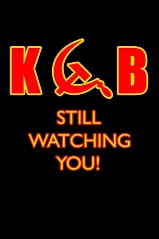 Still Watching