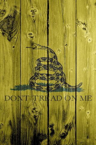 Liberty's Warning: The Gadsden Flag