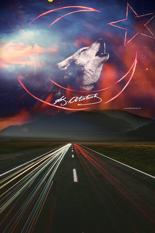 Echoes of the Turkkurt: A Journey Through the Stars 🌌🐺