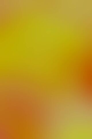 Harmony in Color 🌈✌️