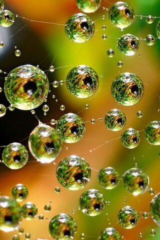 Nature's Crystal Orbs