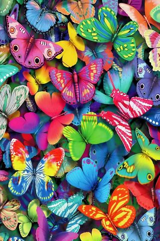 A Kaleidoscope of Wings..