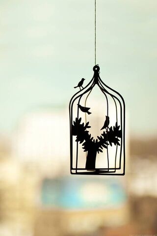 Freedom Within Boundaries