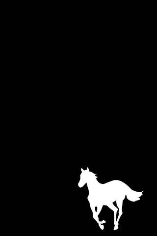 Horse Black-White