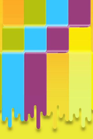 Vibrant Palette: A Splash of Color