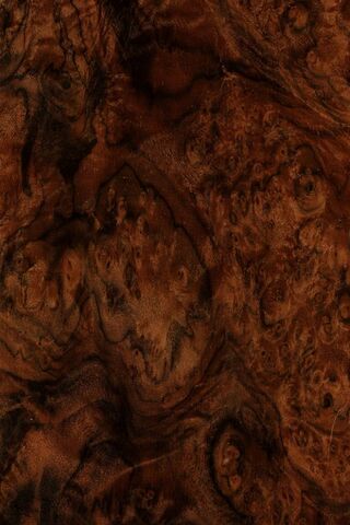 Nature's Artistry: The Beauty of Wood