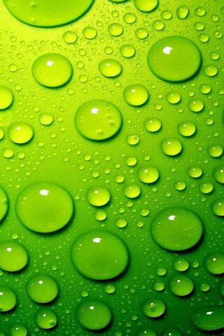 Emerald Dewdrops: Nature's Refreshing Touch 🌿💧