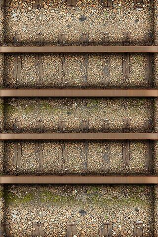 Nature's Palette: The Apple Shelf
