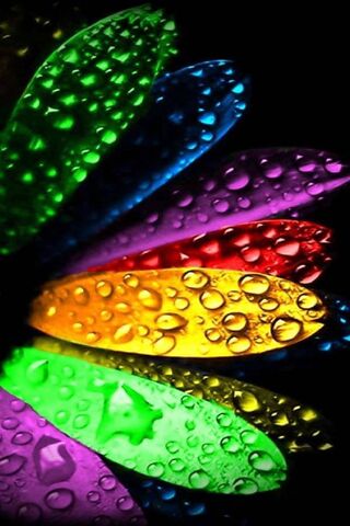 Vibrant Drops of Joy 🌈✨