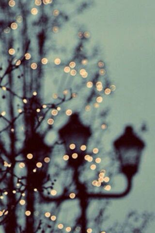 Twinkling Nightscape: A Dance of Street Lights ✨🌙