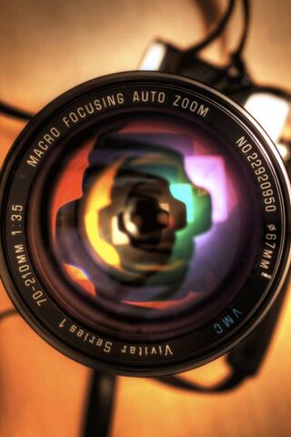 Through the Lens: A Macro Perspective 📸✨