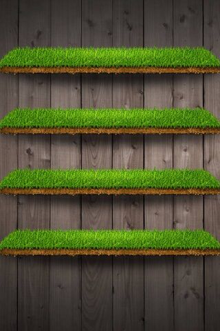 Nature's Touch: The Apple Shelf 🍏🌿