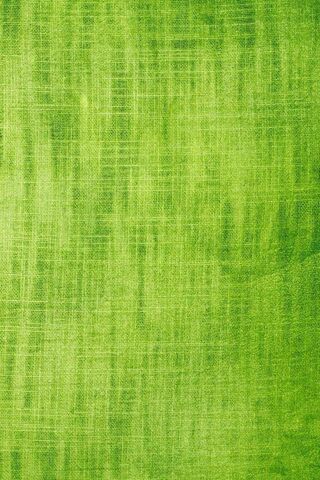 Lush Green Serenity 🌿