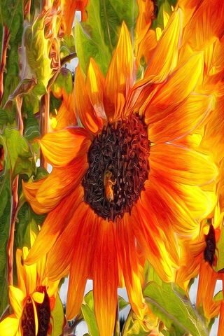 Art Design Sunflower