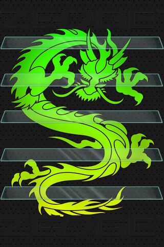 Mystical Dragon on Glass Shelves 🐉✨