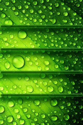 Wet Green