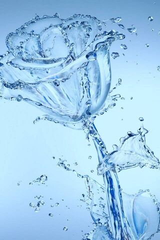 Crystal Clear Rose: Nat..