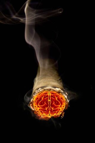 Igniting Ideas: The Brain Storm