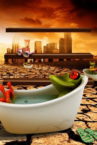 Frog's Chill Zone: The Apple Shelf Escape 🍏🐸