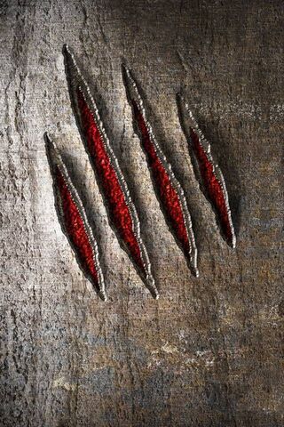 Crimson Claw Marks on Metal