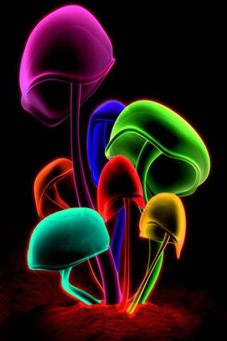 Colorful Mashrooms