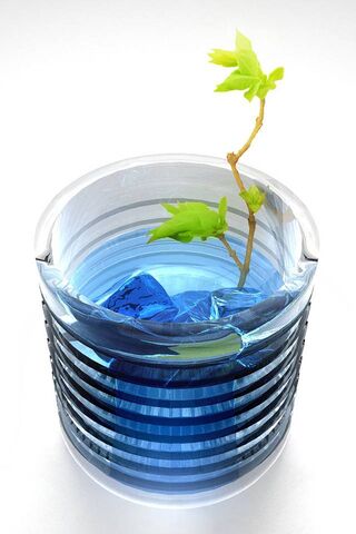 Crystal Clear Serenity 🌊✨