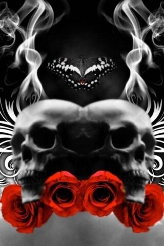Eternal Beauty: Skulls ..